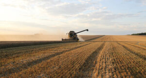 Dnipro Agro Group completes winter wheat and rapeseed harvest